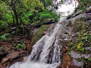 Exterior - The Meadows Resorts (Paud)