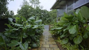 A stone pathway flanked by large green plants leading to a gate. - The Meadows Resorts (Paud)