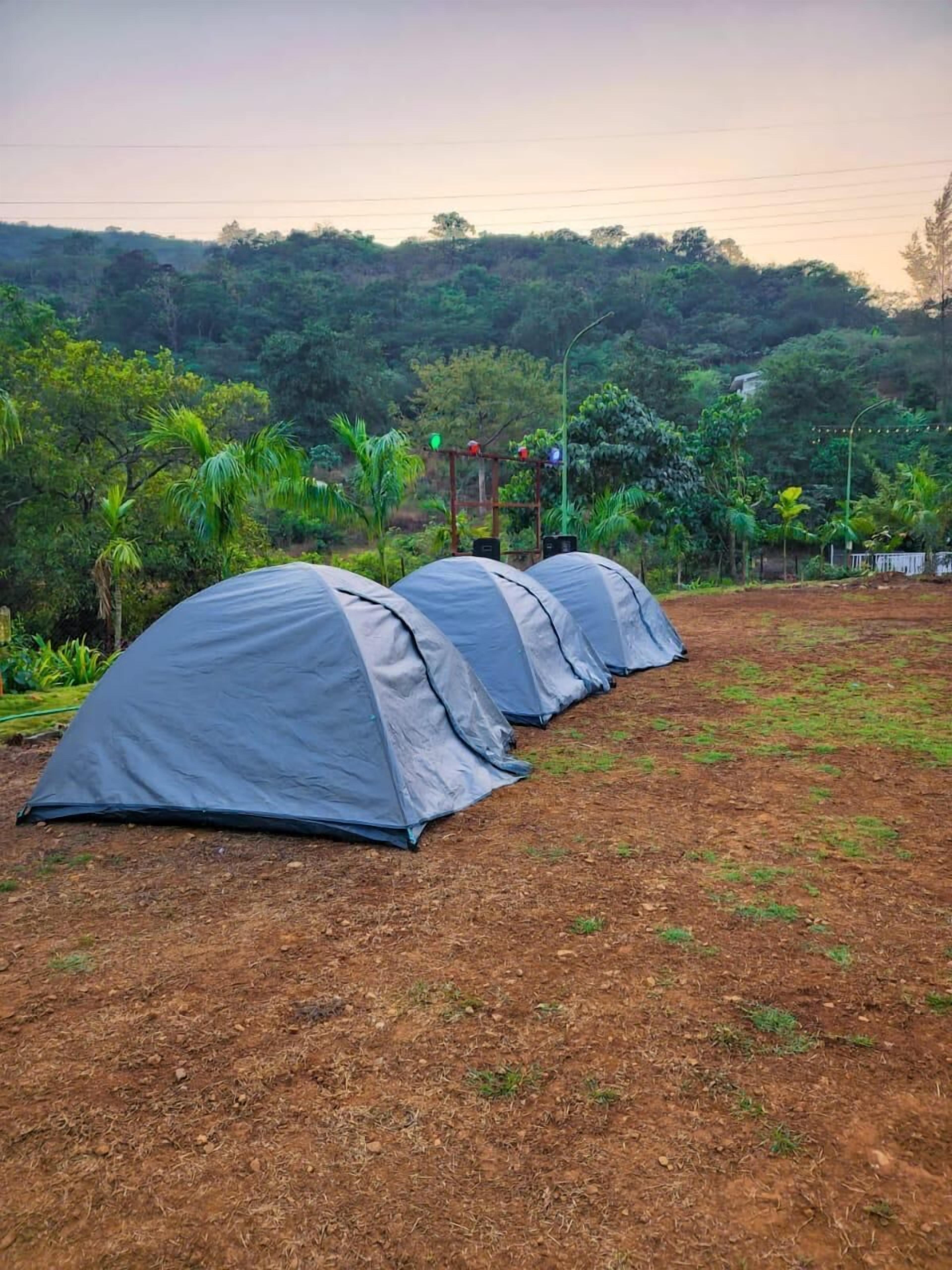 A row of tents in a natural setting with trees and a clear sky.