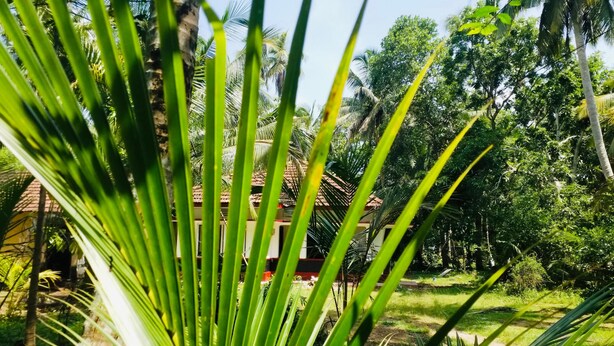 A lush garden with palm trees and a building with a tiled roof. - Aquabliss Resort & Villa (Bentota)