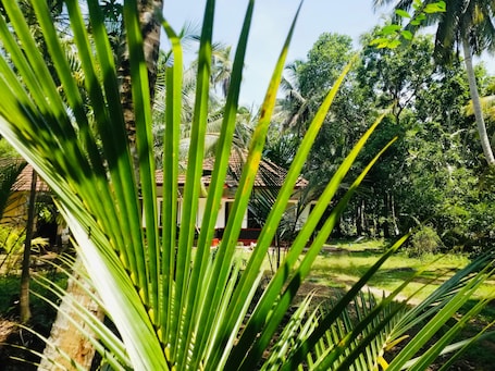 Fachada. Aquabliss Resort & Villa