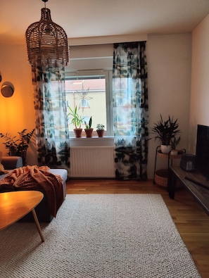 En hyggelig stue med en sofa, et sofabord og et TV-møbel. Der er plantede planter på vindueskarmen og en hængende lampe.