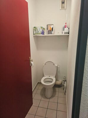 Hair dryer, towels, soap, toilet paper - Lodging at the foot of the slopes. Small dogs accepted! (Saint-Sorlin-d'Arves)