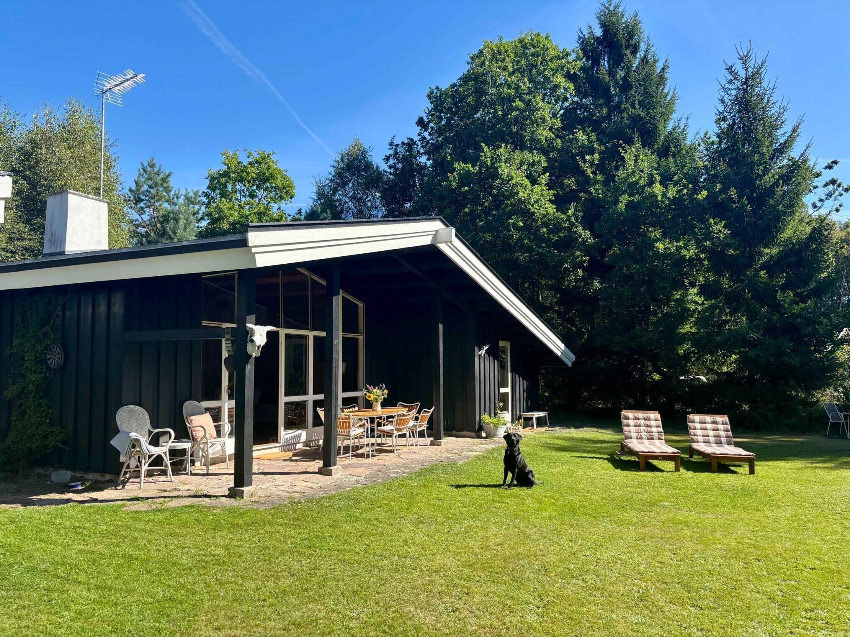Een modern gebouw met een overdekte patio, meubilair en een hond.