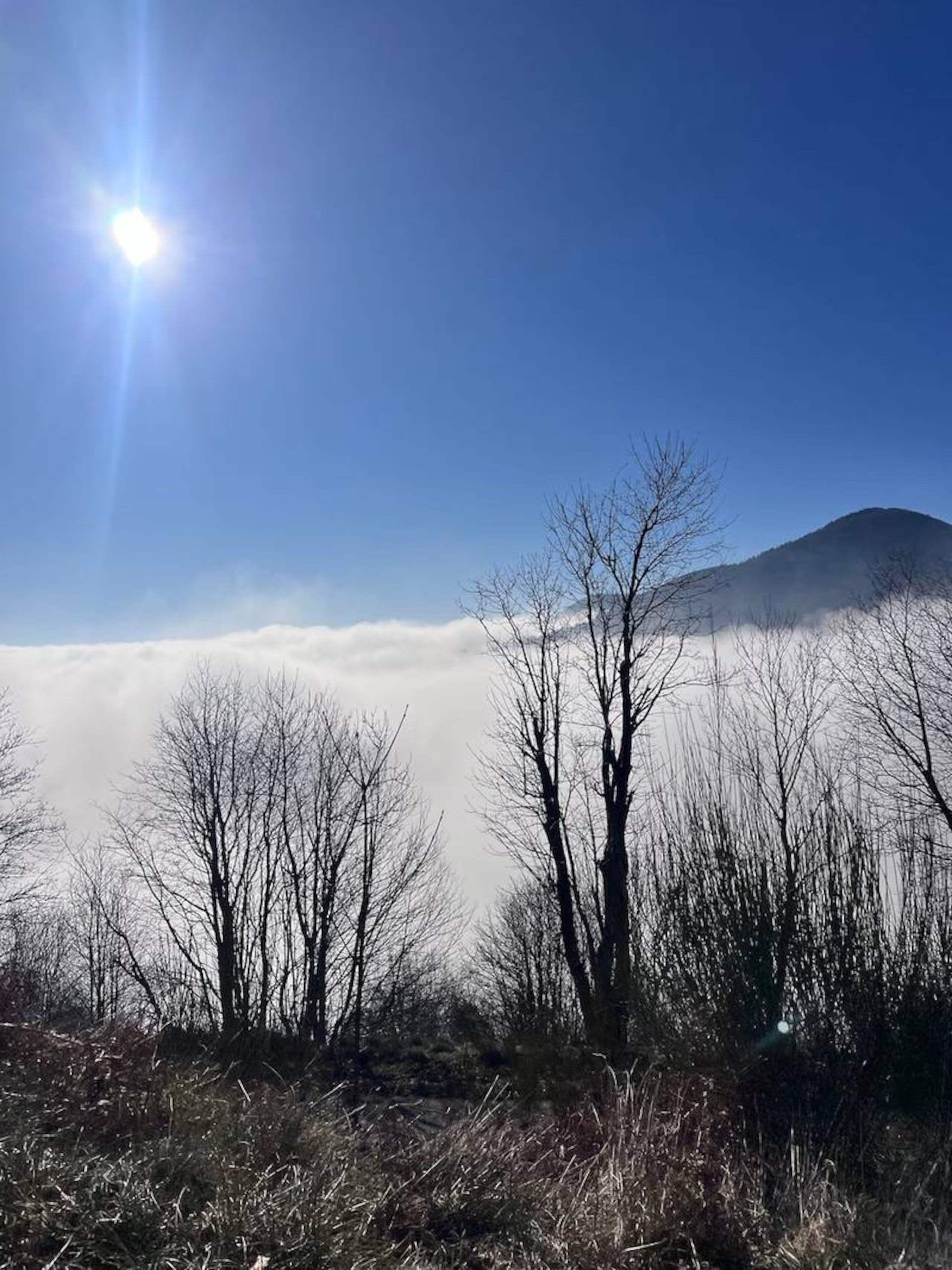 A landscape with a mountain in the background, a clear sky, and a sun shining.