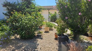 Ein Garten mit verschiedenen Pflanzen und einer Pergola.