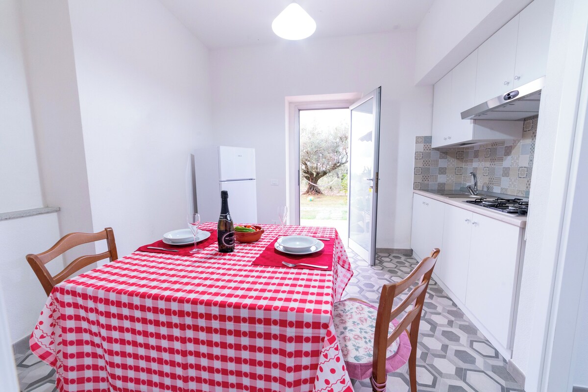 A compact kitchen with white cabinets, a red and white checkered tablecloth, and a view of the outdoors through an open door.