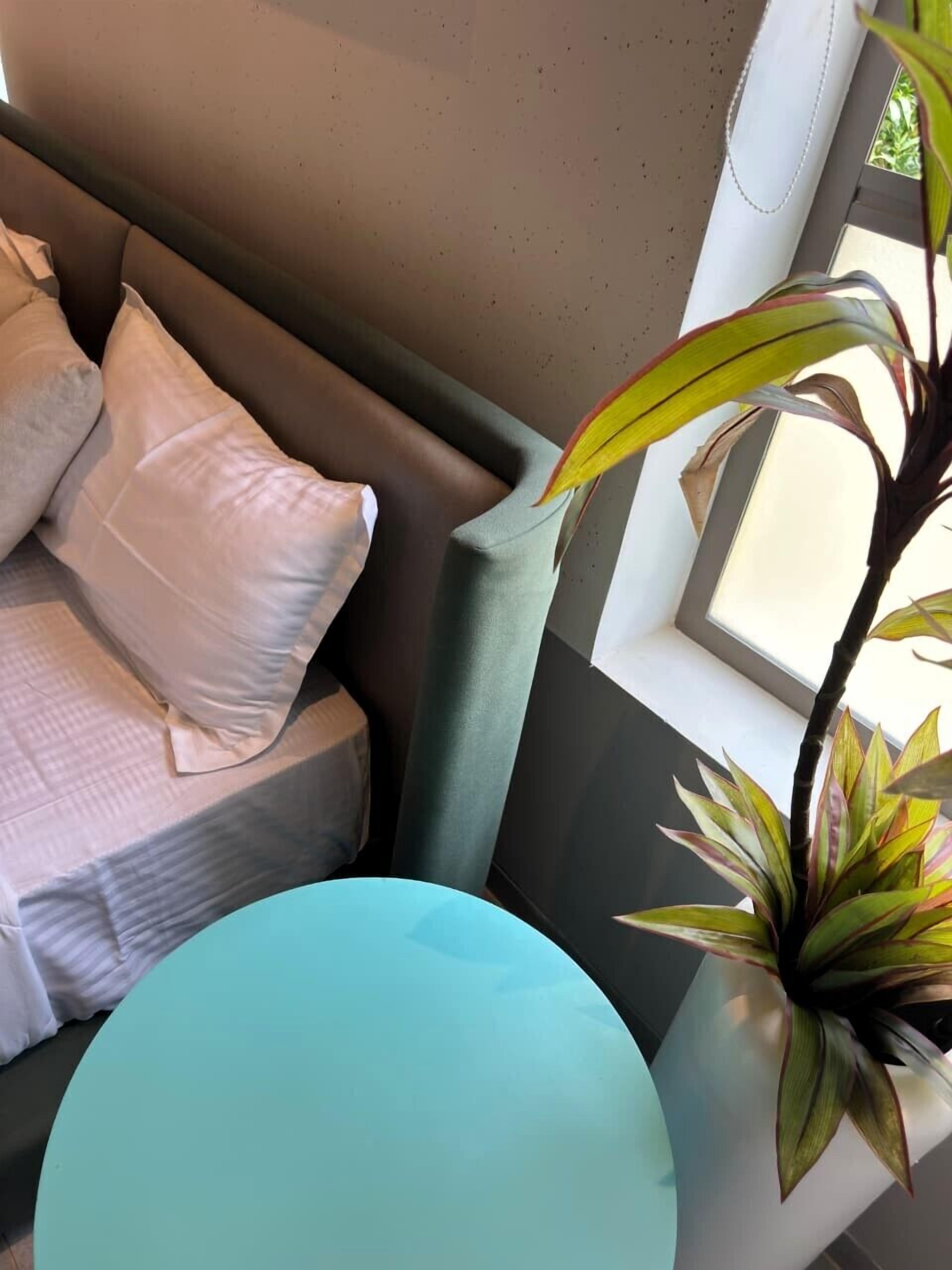 Ein gemütlicher Sitzbereich mit einer Couch, Kissen und einem kleinen runden Tisch. Eine Zimmerpflanze sorgt für Grün.