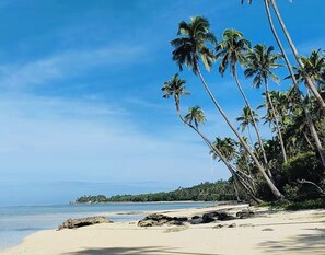 Beach - Sea-View Lodge | Family-Friendly Coastal Escape in Fiji (Maui bay)