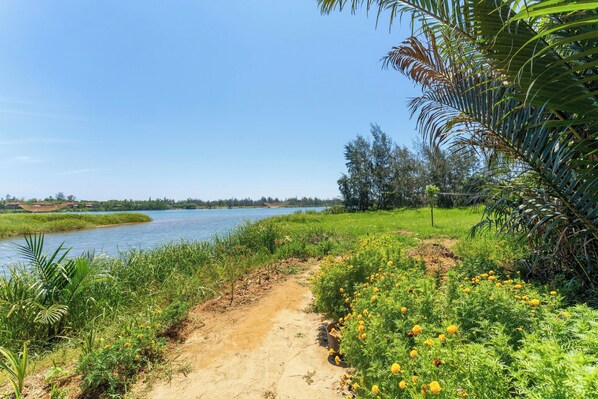 A dirt path leading to a riverbank with lush greenery and yellow flowers. - Calm House 4 Hoi An (Thanh pho Hoi An)