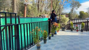 Un balcon agrémenté d’une rambarde verte, de plantes en pot et offrant une vue dégagée sur les arbres et les bâtiments environnants.