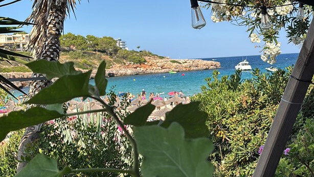 A coastal view with a clear sky, a palm tree, and a view of the sea with boats. - Vacation home for families in Cala Ferrera with private pool in the garden near the beach (Cala Ferrera)