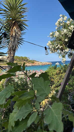 Blick auf die Küste mit blauem Himmel, einer Palme und dem Meer mit Booten.