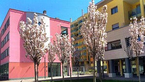 Un bâtiment moderne aux façades roses et jaunes, entouré d’arbres aux fleurs blanches.