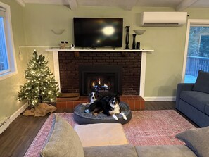 Living area - Happy Tails Hideaway  4 Bedroom Chalet located near everything (Bartlett)