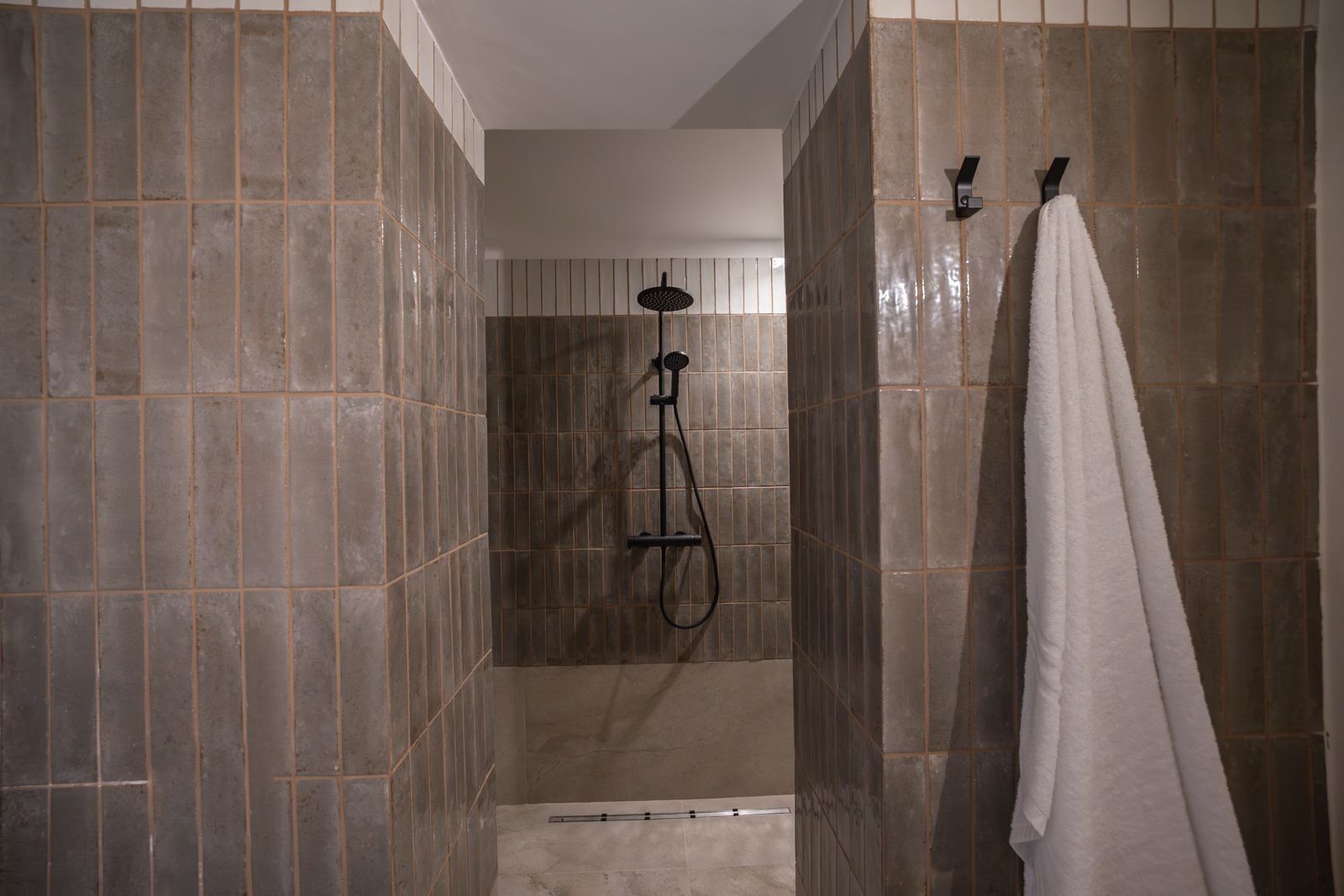 Hair dryer, bidet, towels, soap