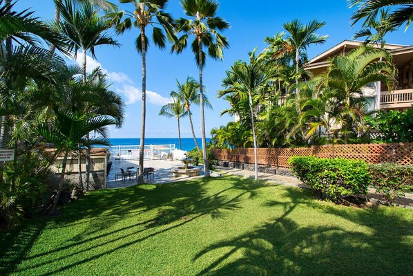 Property grounds - Kona Shores#113: Ground Floor Adorable Remodeled Studio, No Stairs! (Kailua Kona)