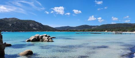 在海灘附近、躺椅