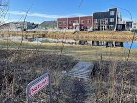 House | Property grounds