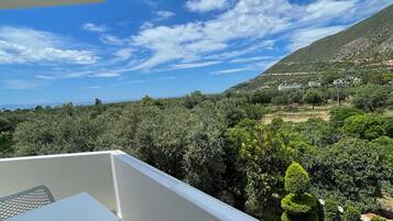 Family Room, Balcony, Sea View | Balcony view