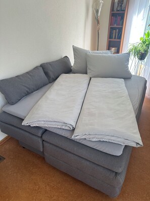 A grey sofa with a folded blanket and pillows, positioned against a wall with a bookshelf and a potted plant. - RIVA Vacation Apartment (Kronau)