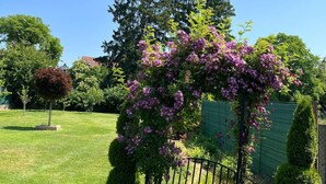 En velholdt have med en pergola dækket af lilla blomster, omgivet af pænt beskåret hække og forskellige træer.