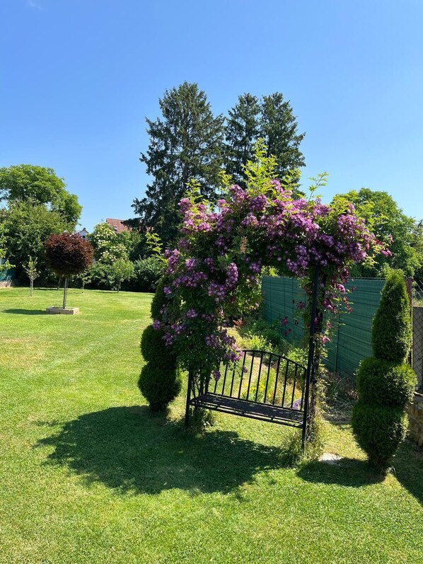 A well-maintained garden with a pergola covered in purple flowers, surrounded by neatly trimmed hedges and a variety of trees. - Vacation apartment RIVA (Kronau)