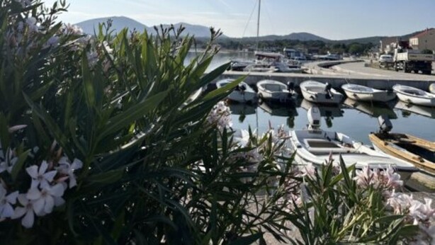 A marina with boats docked, surrounded by greenery and mountains in the background. - Cozy apartment for 2 pers with all amenities, 50 meters from the lake (Bilice)
