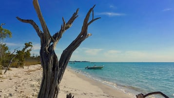 Private beach nearby, motor boating, fishing