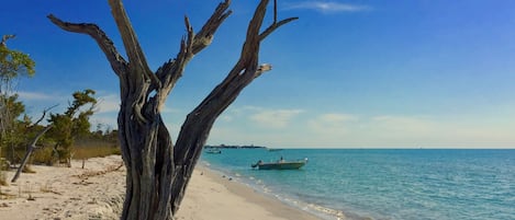 Private beach nearby, motor boating, fishing