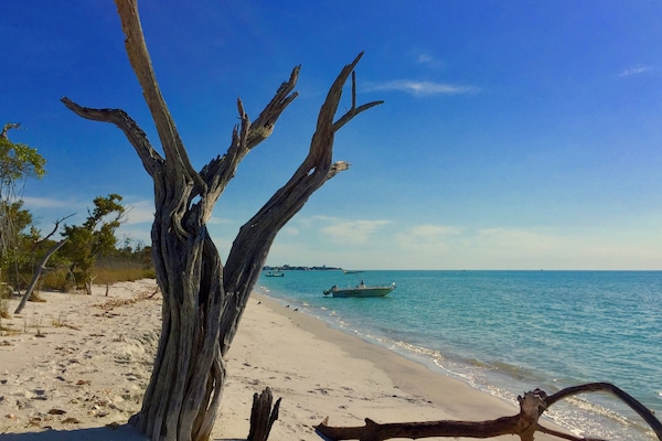 Private beach nearby, motor boating, fishing