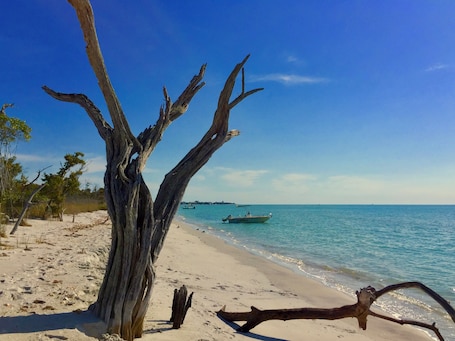 Private beach nearby, motor boating, fishing