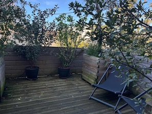 Une terrasse en bois agrémentée de deux plantes en pot et d’une chaise longue.