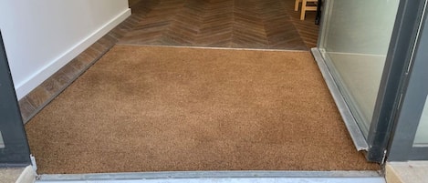 A hallway with a brown carpeted entrance leading to a room with a glass door.