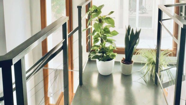 Un intérieur moderne avec un escalier, une plante en pot et une vue à travers une grande fenêtre.