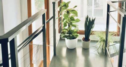 Bordeaux centre historique: Charmant Duplex 5 PAX