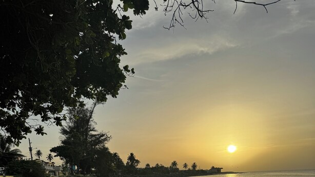 Una playa con huellas que conducen al agua, palmeras y una puesta de sol.