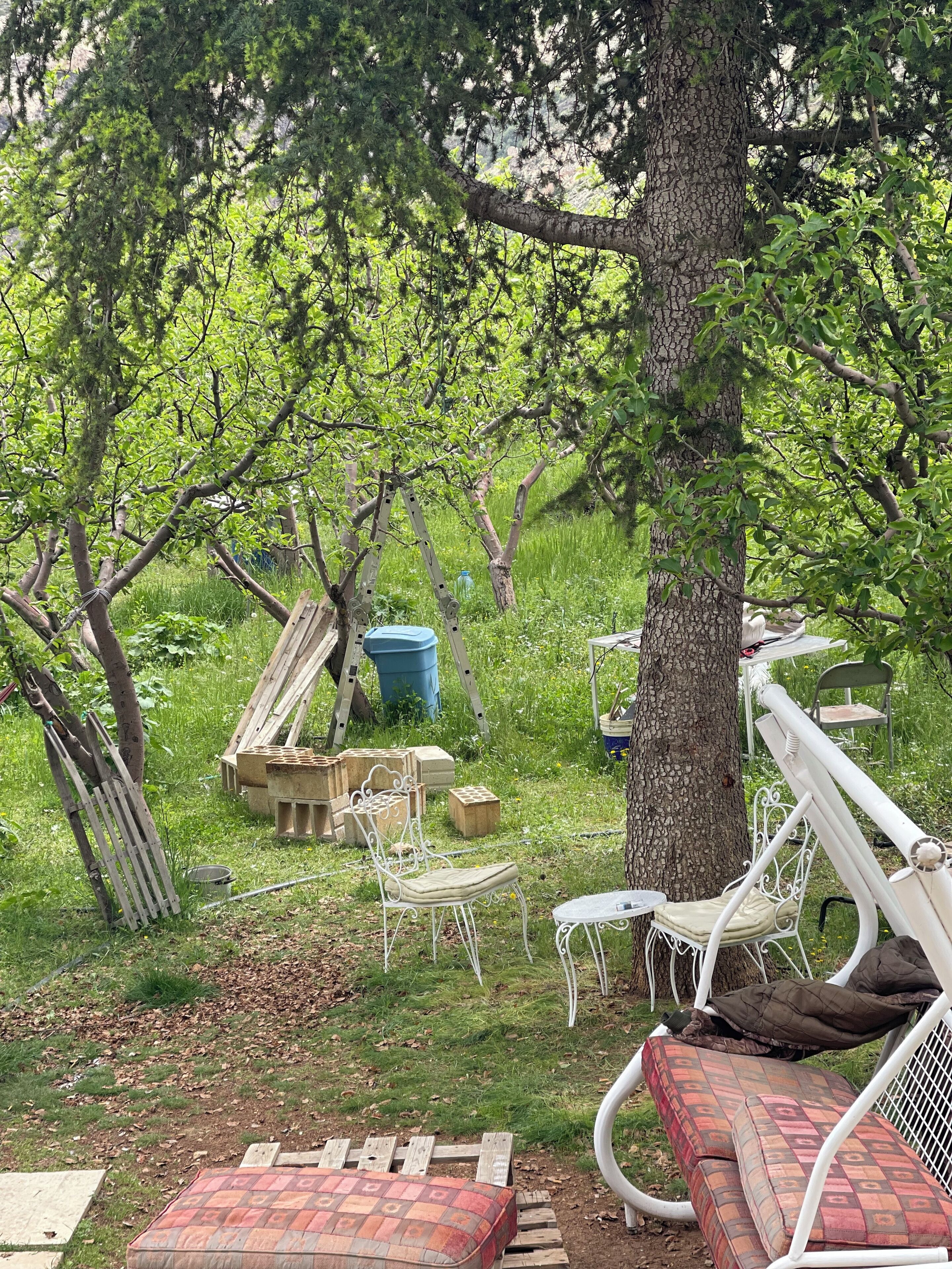 Terrein van de accommodatie