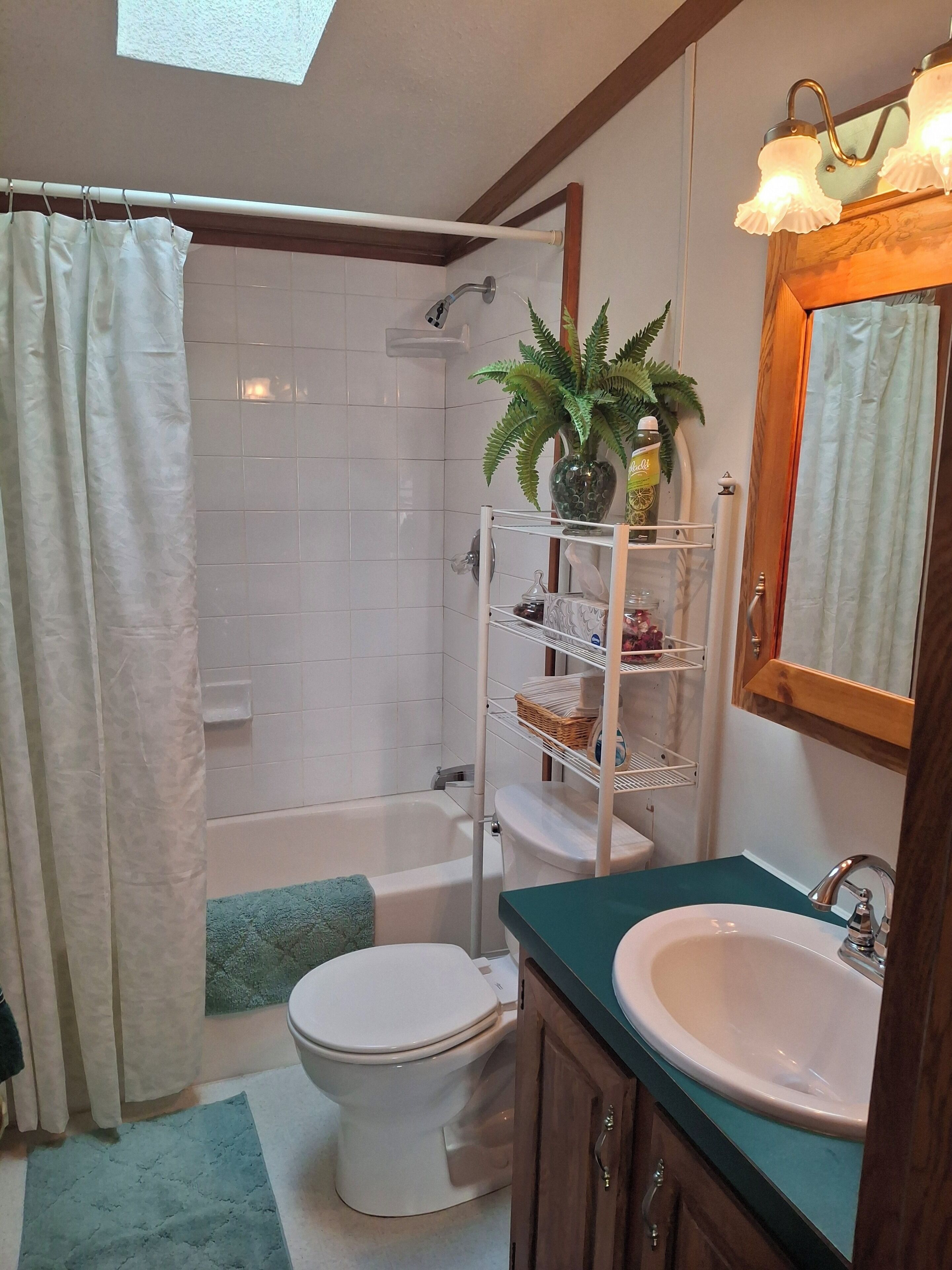 Dusch, hårtork, handdukar och tvål