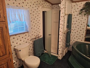 Shower, hair dryer, towels, soap - 3BR Family Home in Manchester, VT -Near Downtown, Outlets & Ski Resorts (Manchester)