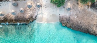 Endless Summer Catalina - Walk to Aruba’s Best Snorkeling