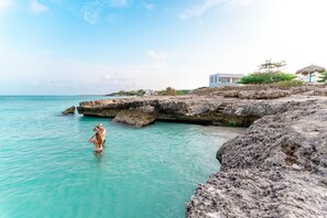Miscellaneous - Sea La Vie - Turtle Snorkeling Steps Away (Noord)