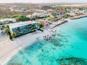 Beach nearby, sun-loungers, beach towels - Sea La Vie - Turtle Snorkeling Steps Away (Noord)