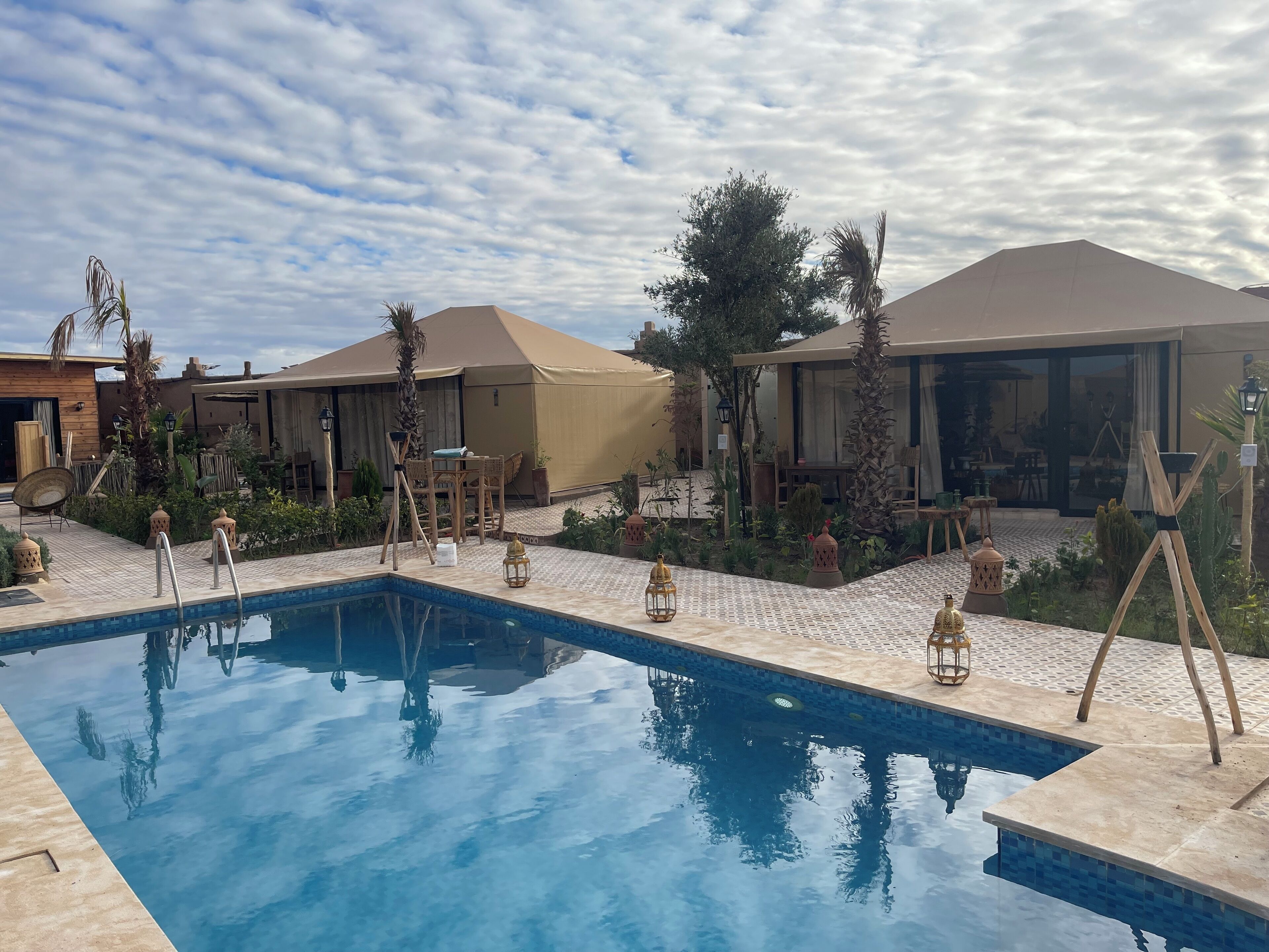 A pool area with lounge chairs and umbrellas, surrounded by palm trees and desert plants.