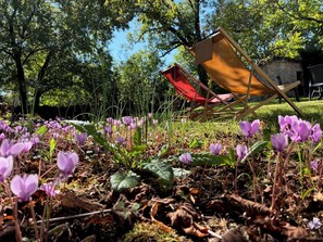 En trädgård med lila blommor och en trästol.