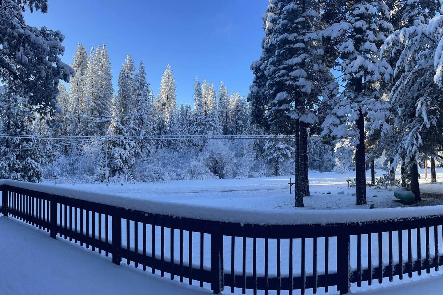 A snow-covered landscape with a wooden fence, trees, and a clear blue sky.