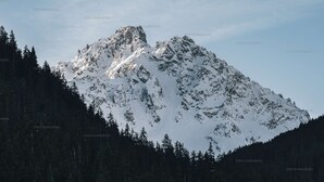 A snow-covered mountain peak with a forested base.