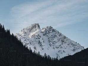 Ein mit Schnee bedeckter Berggipfel mit bewaldeter Basis.