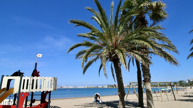Een strand met palmbomen, een redershut en een helderblauwe lucht.
