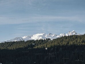 A mountain range with snow-covered peaks and a dense forest at the base. - Comfortable apartment for 6 in Courchevel, direct ski-in/ski-out (Courchevel 1650)